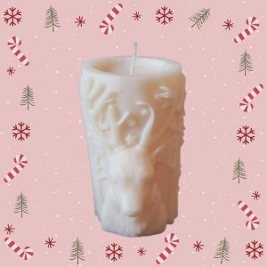 597733107_1204022405025047_625927346152456843_n